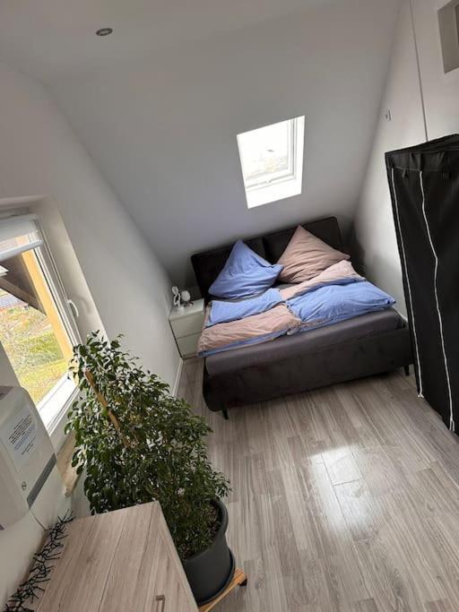 Panoramablick In Litzendorf Appartement Buitenkant foto